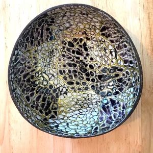 Coconut bowls